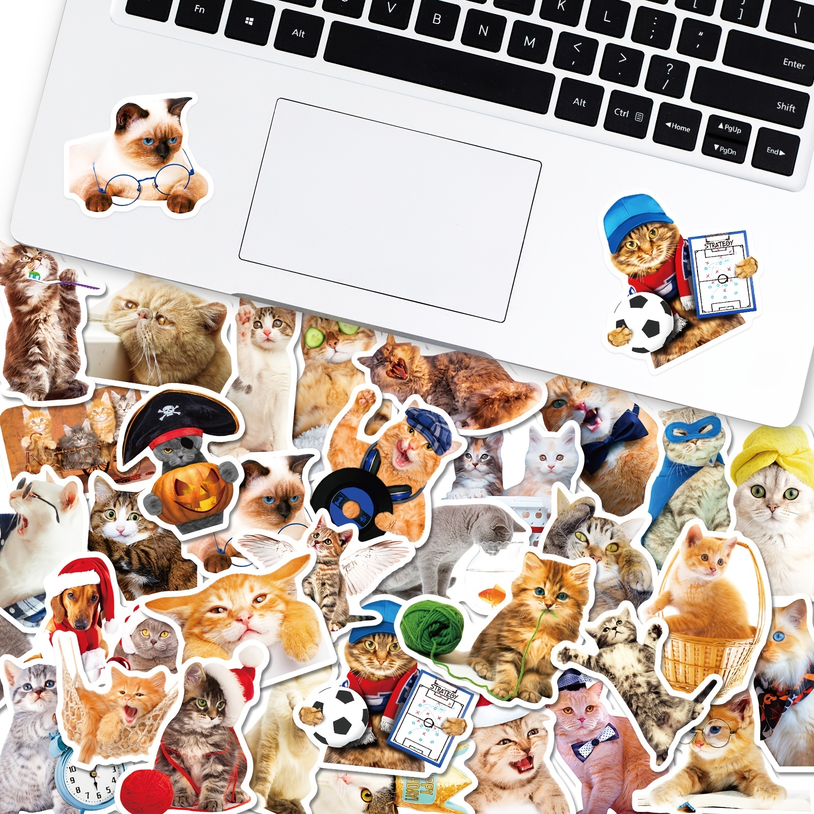 Realistic Cute Cat Mixed Stickers Cat Expression Stickers - Temu