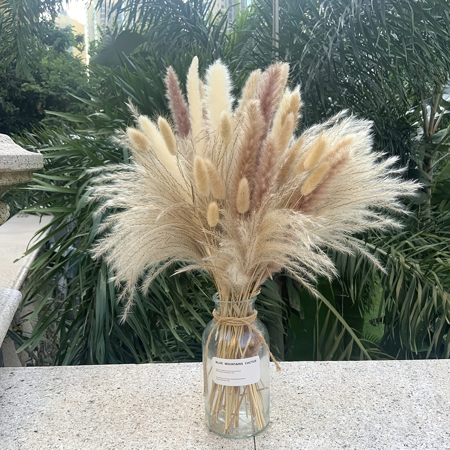 White & Natural Dried Pampas Grass, 85 Stems Pompous Grass, Decorative Reed  & Bunny Tails pompas, Boho Home Décor, Fluffy Dried Flowers Bouquet for