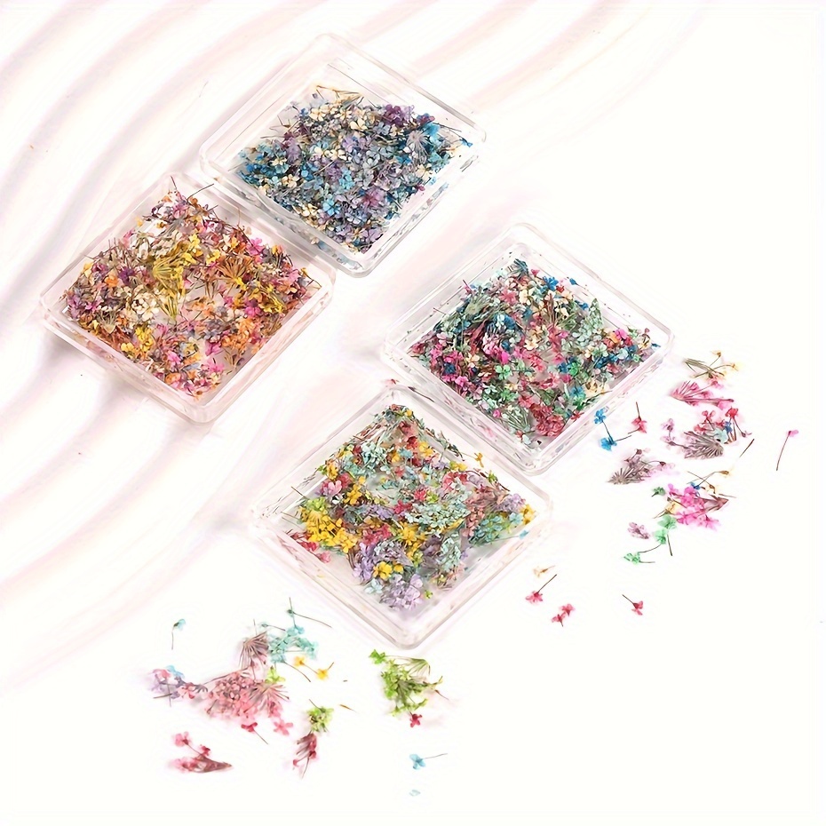 Dry dried flowers nail art decoration milkbath summer naturaleza muerta  para uña