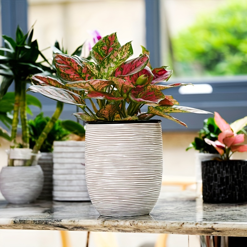 1 Pz, Vaso Per Piante Da Esterno, Fioriera Per La Coltivazione Di Varie  Piante E Verdure-materiale In Polietilene Riciclato Per Interni/esterni, Vasi  Da Esterno - Patio, Prato E Giardino - Temu Switzerland