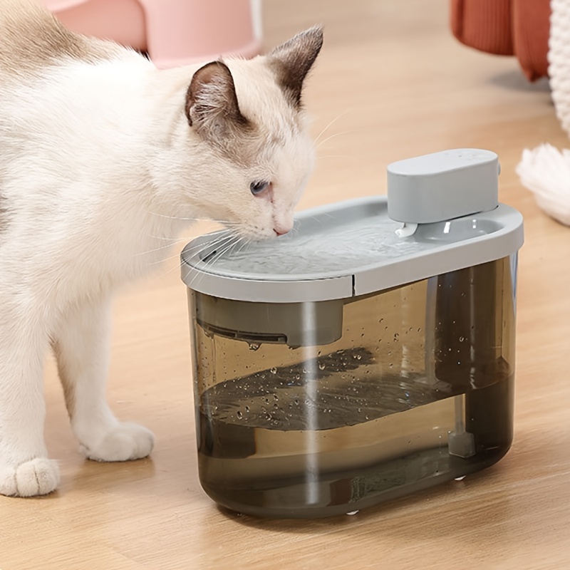 waterfall cat dish