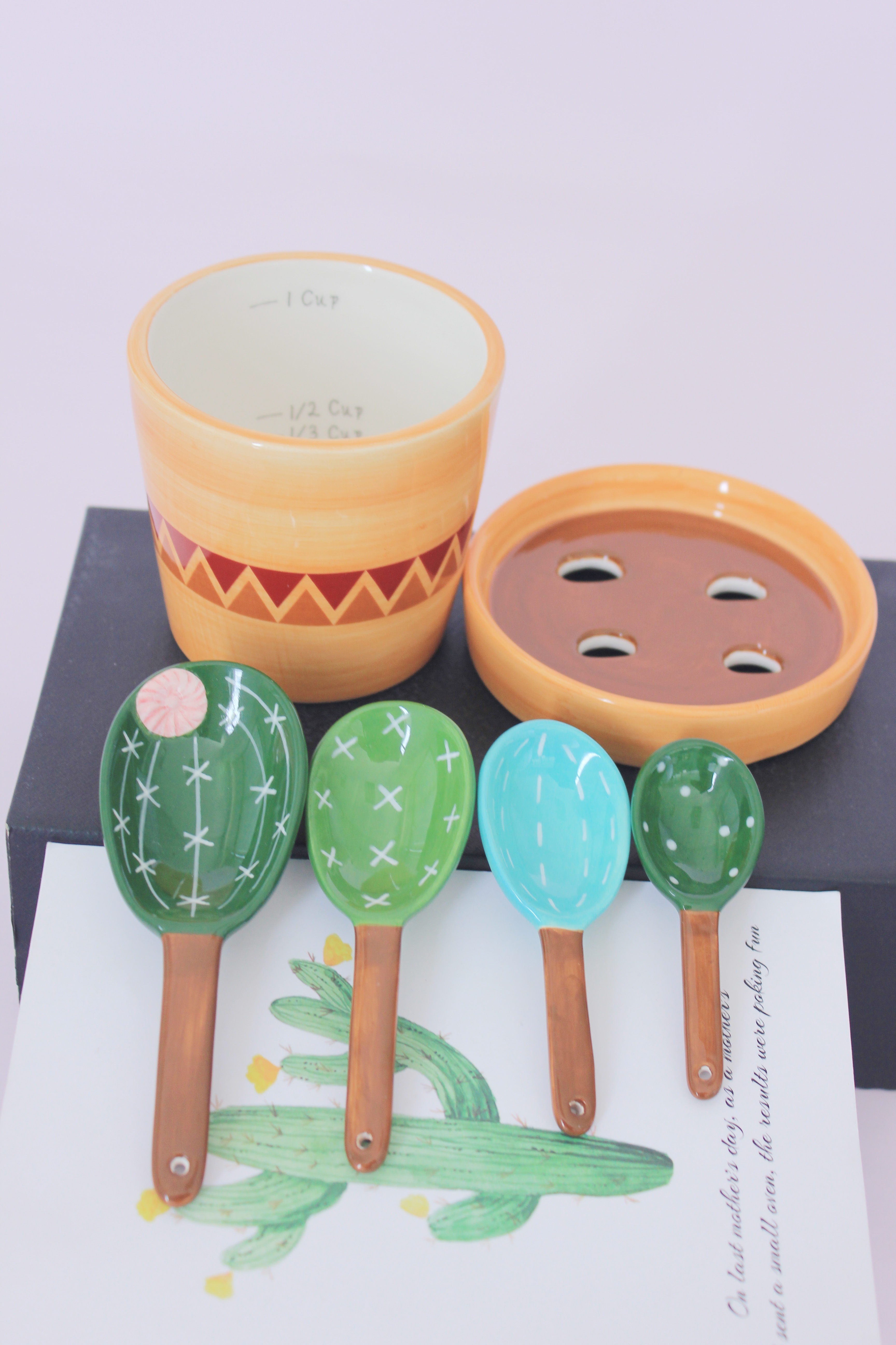 Eminent Love Cactus Measuring Spoons Set in Pot – 6-Pcs Set Ceramic Cactus  Measuring Spoons with Measuring Cup and Lid – Cute Gecko Lizard – Measuring