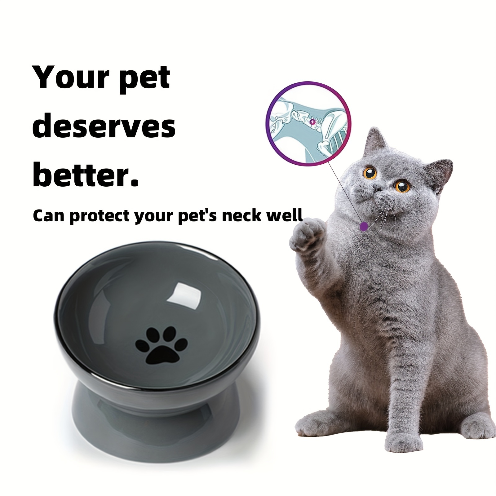 Pet Cat Bowl Ceramic Elevated Raised Tilted Cat Dish Bowl Temu