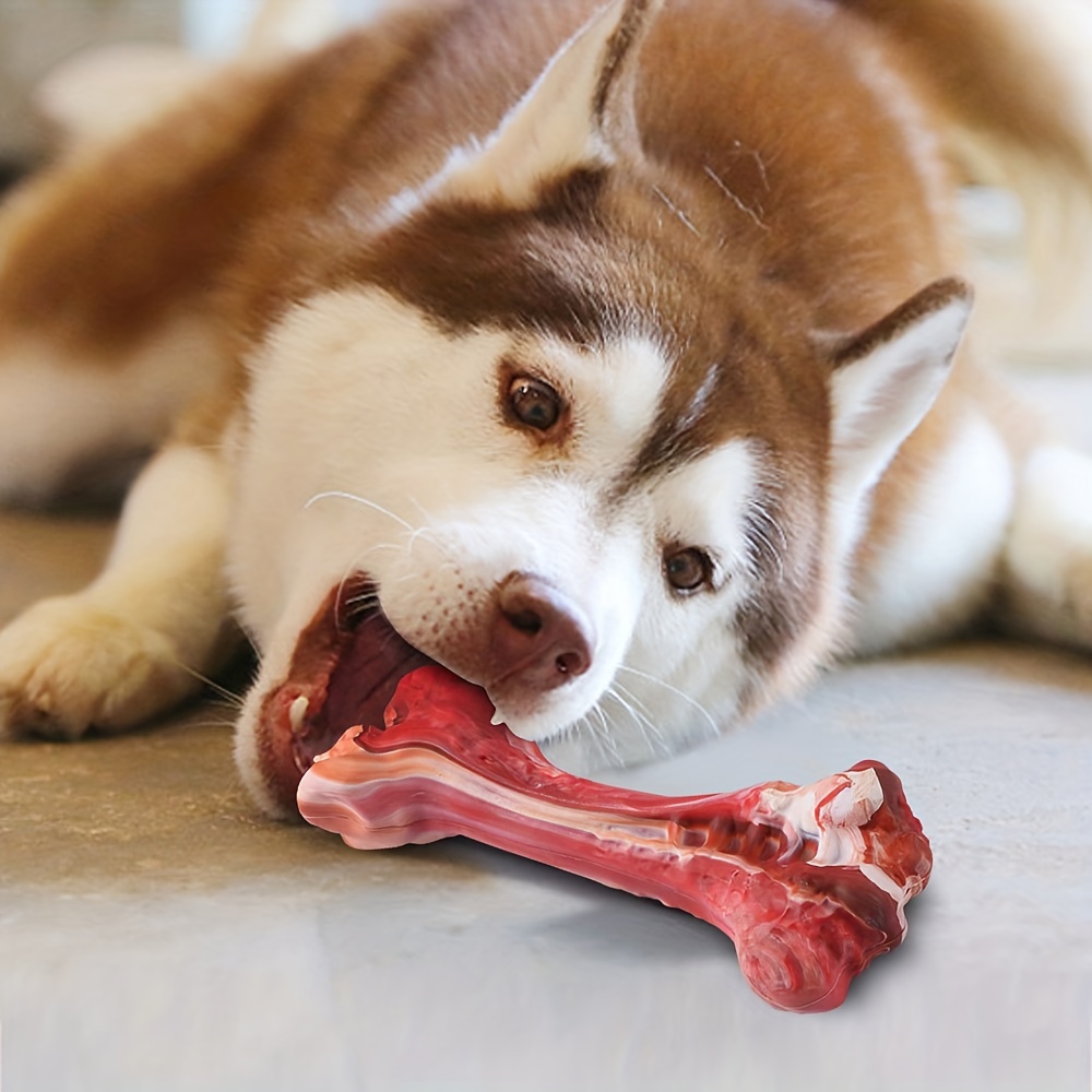 LINGJIONG Giocattolo per osso di cane dentato, giocattolo da masticare per  cani, aroma di manzo non facile da rompere, piccolo giocattolo da masticare