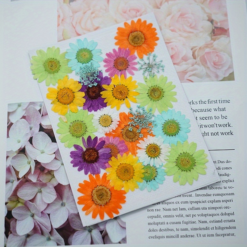 Natural Dried Pressed Flowers For Scrapbooks Diy Art Crafts - Temu