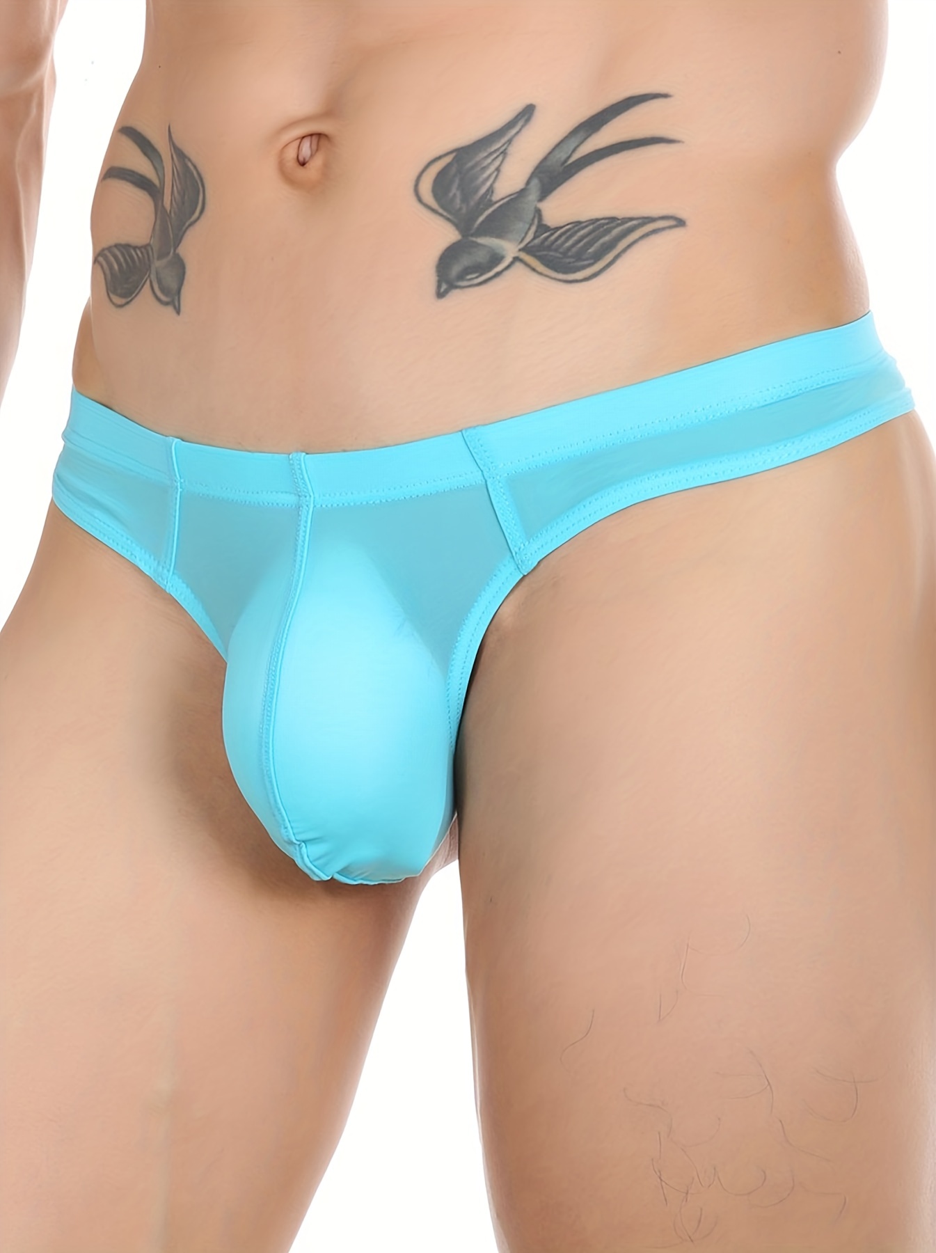 Sheer Thong Briefs for Men - Sexy See-Through Bikini Underwear with T-Back  G-String