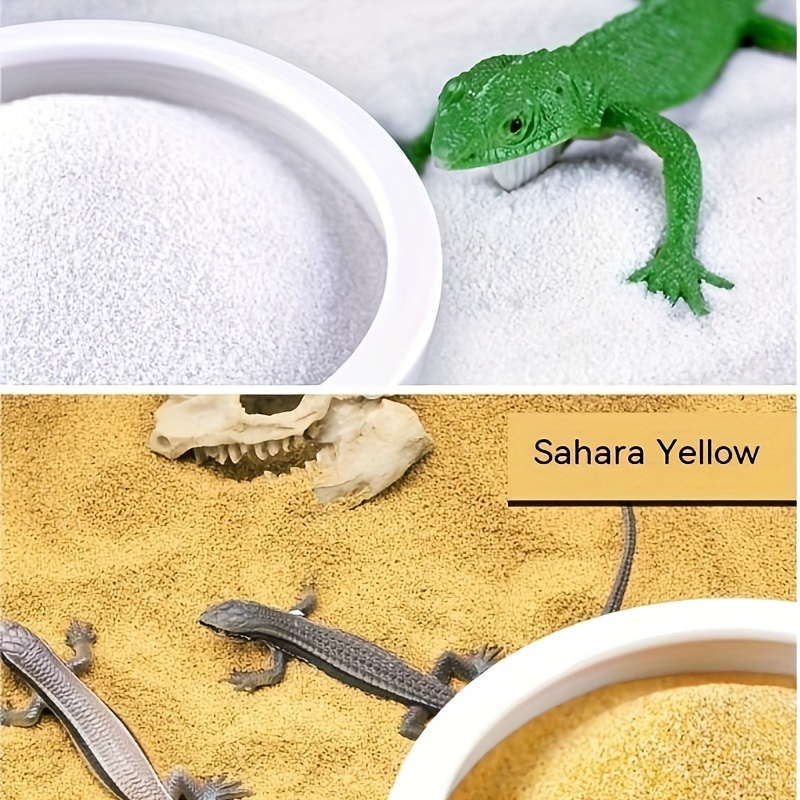 Sand mat outlet for bearded dragon