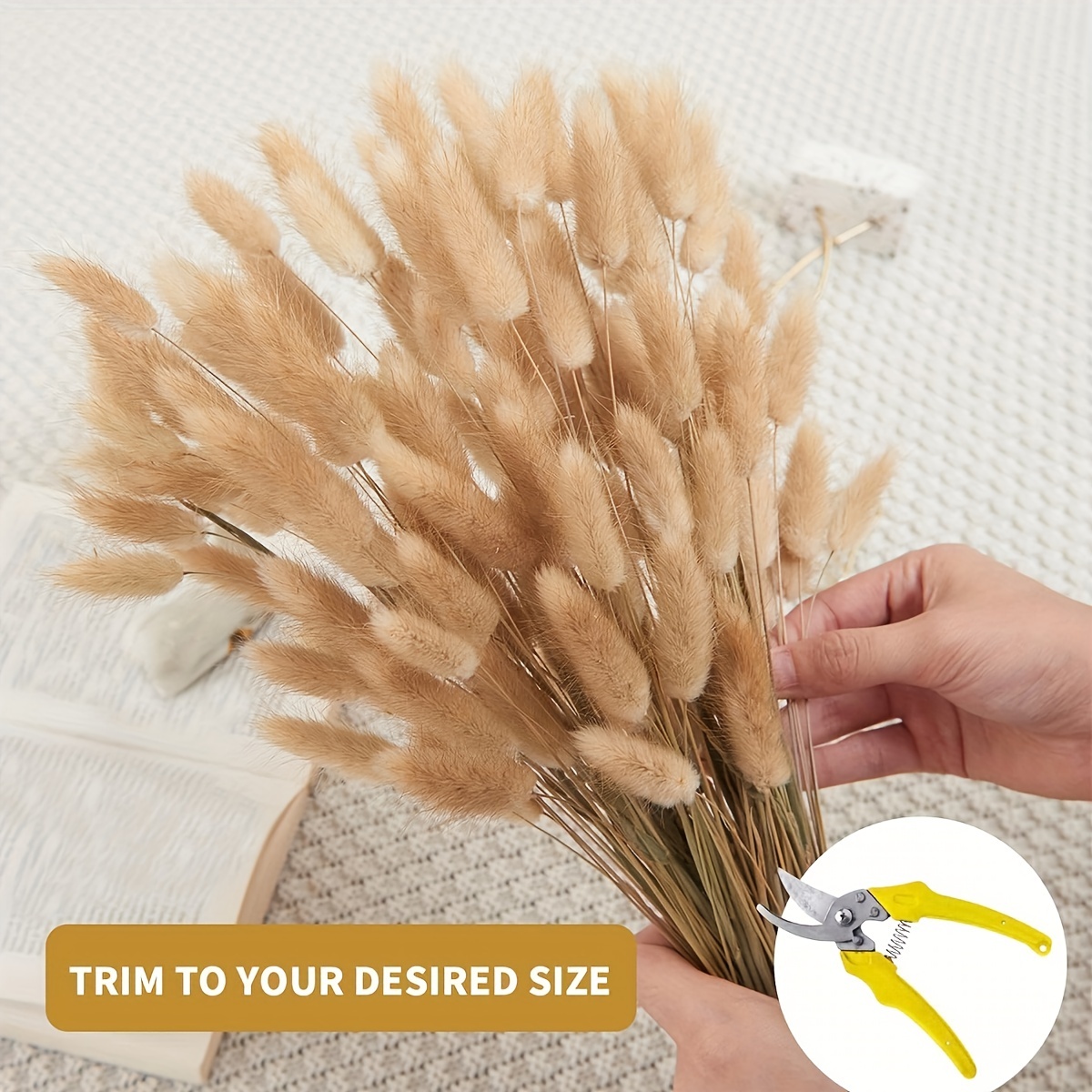 Artificial Dried Rabbit Tail Grass Dried Grasses Natural Dry Temu Germany