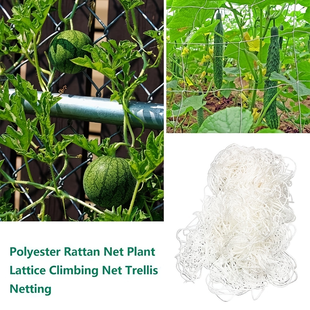 Polyester Pergola Net for Climbing Plants
