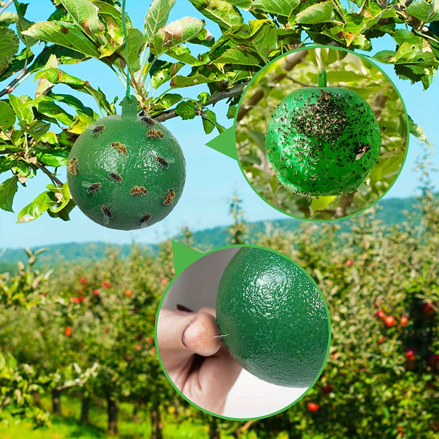 Sticky Traps Balls Houseplant Sticky Bug Traps - Temu