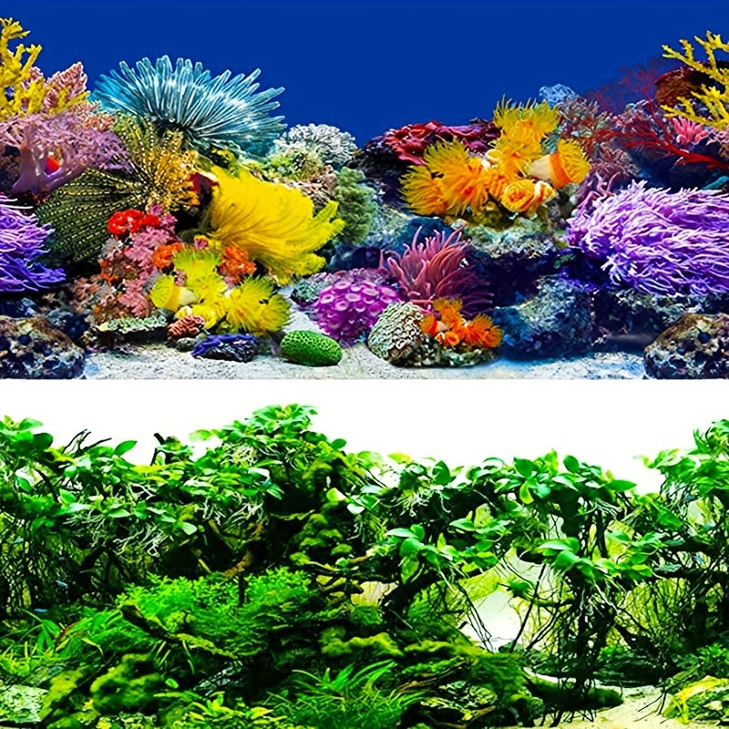 Aquarium Poster Background Beach Starfish Shell Fish Tank Hd