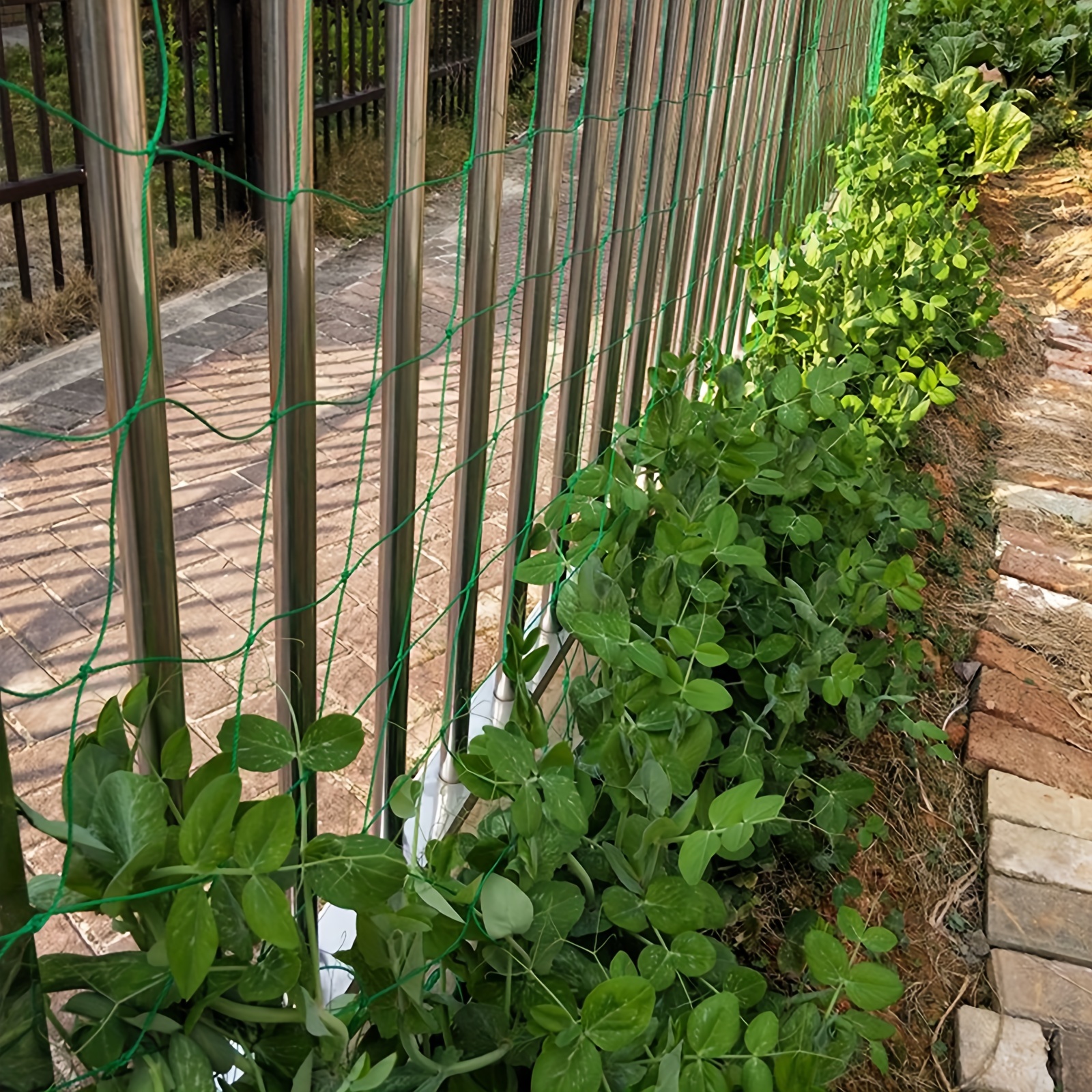 Garden Trellis Netting for Climbing Plants