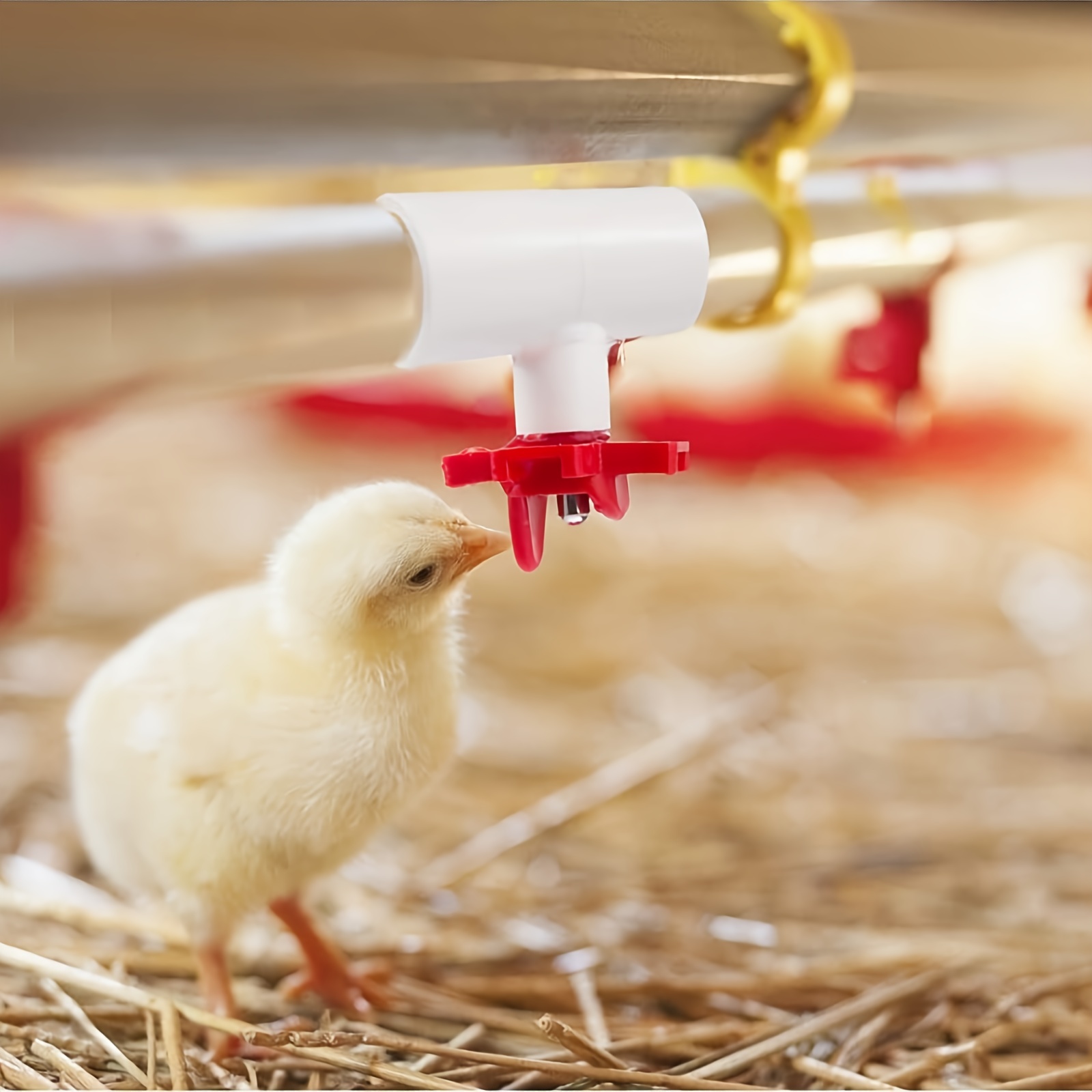 1pc Fully Automatic Poultry Drinking Cups, Pvc Tee Fittings, Chicken