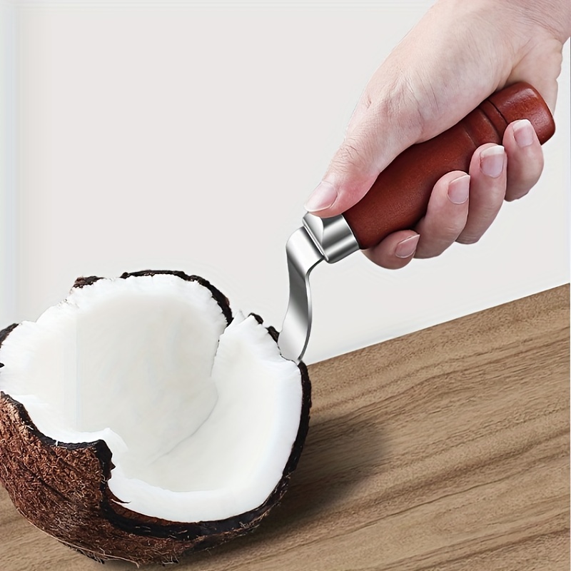 Coconut Grater Coconut Scraper Coconut Meat Removal Tool Coconut Shredder Coconut Cutter Opener Melon Scraper Coconut,Stainless Steel Coconut