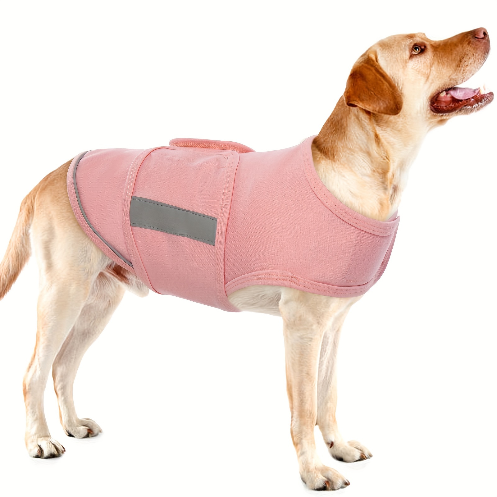 Gilet Anti-ansia Cani, Comoda Giacca Calmante Cani, Ansietà Separata Cani  Piccola Taglia, Vestiti Lenitivi Calmanti E Traspiranti Cani Taglia  Piccola, Media E Grande - Forniture Animali Domestici - Temu Italy