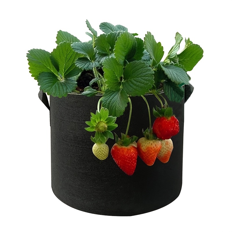 Grow Bags Strawberry Planter Bags With Handles Heavy Duty - Temu