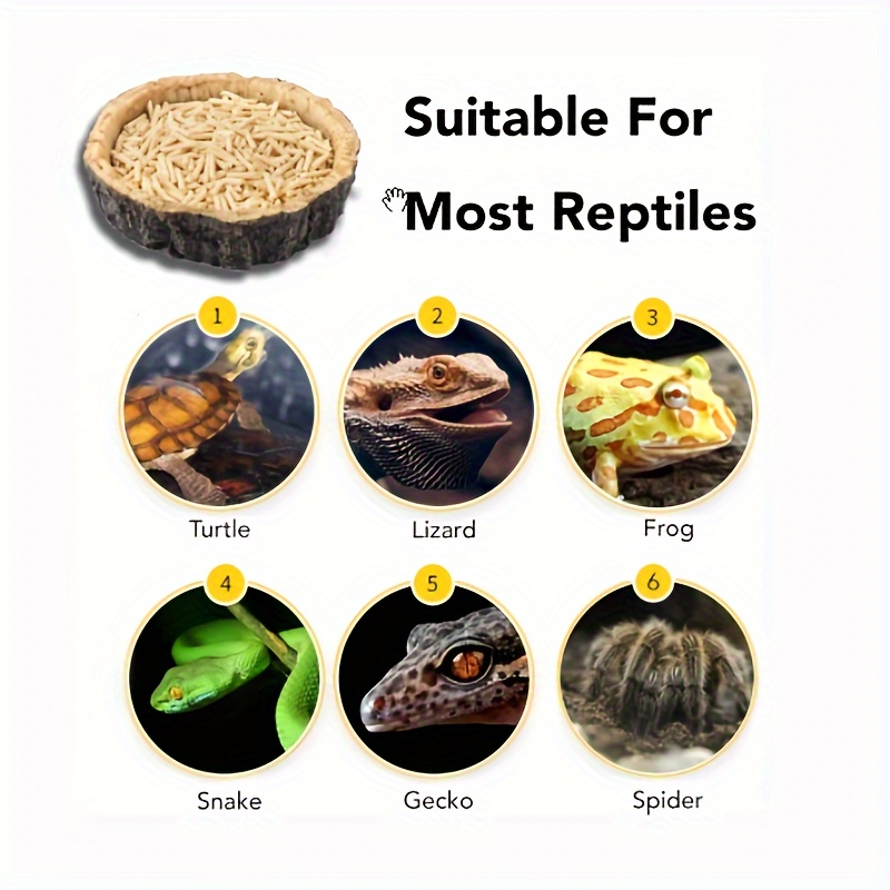 Reptile Feeding Bowl Food Water Resin Dish Pet Vivarium Tortoise Gecko  Snake