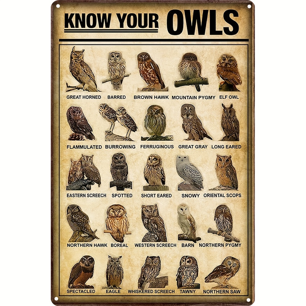 

1pc, Vintage Metal Tin Sign, Know Your Owls Breeds Knowledge Poster Tin Sign Poster Vintage Metal Signs For Bar Music Club Man Cave Room Wall Decor