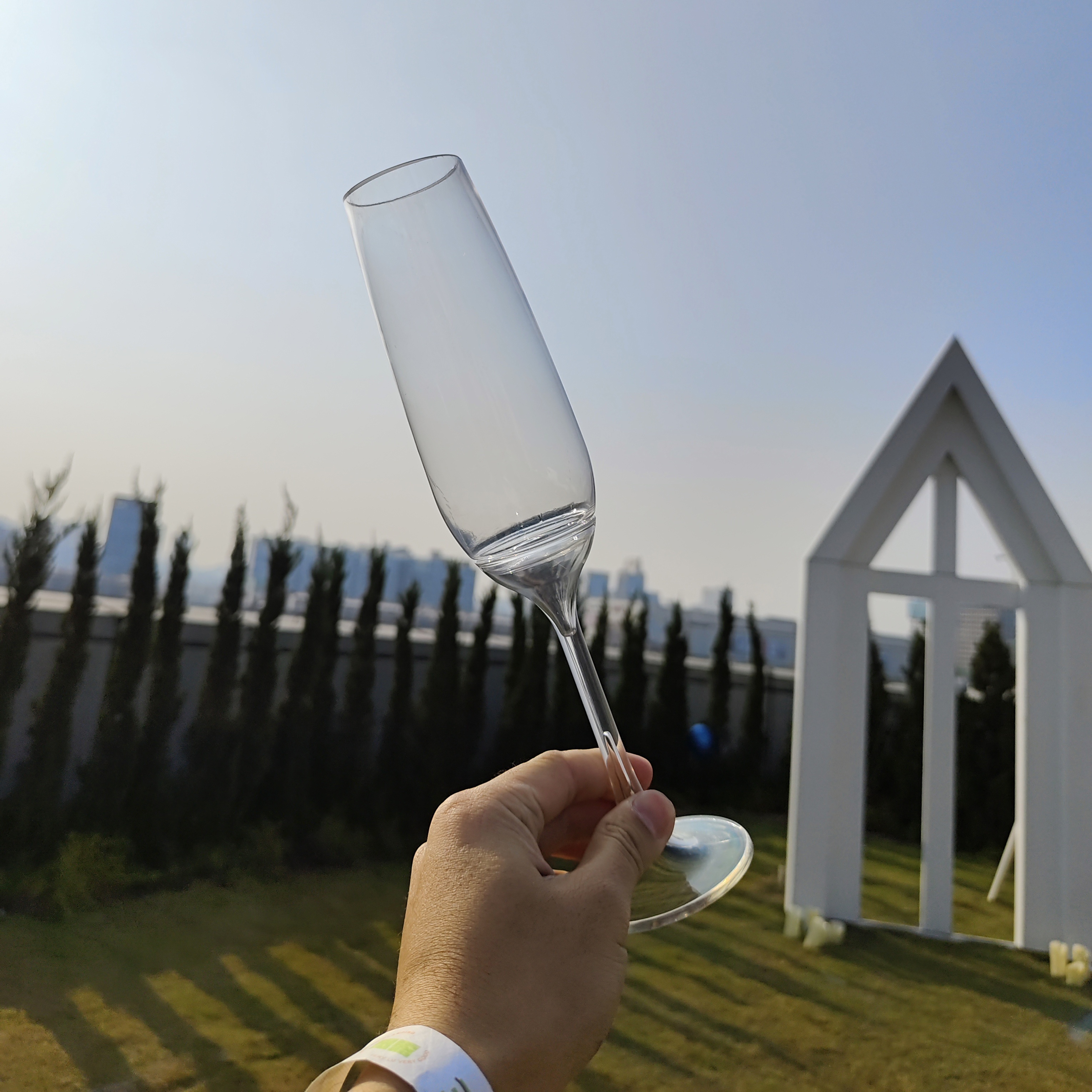 Plastic Stemmed Glass Wine Lilac Removable Stem 300ml (200 Units)