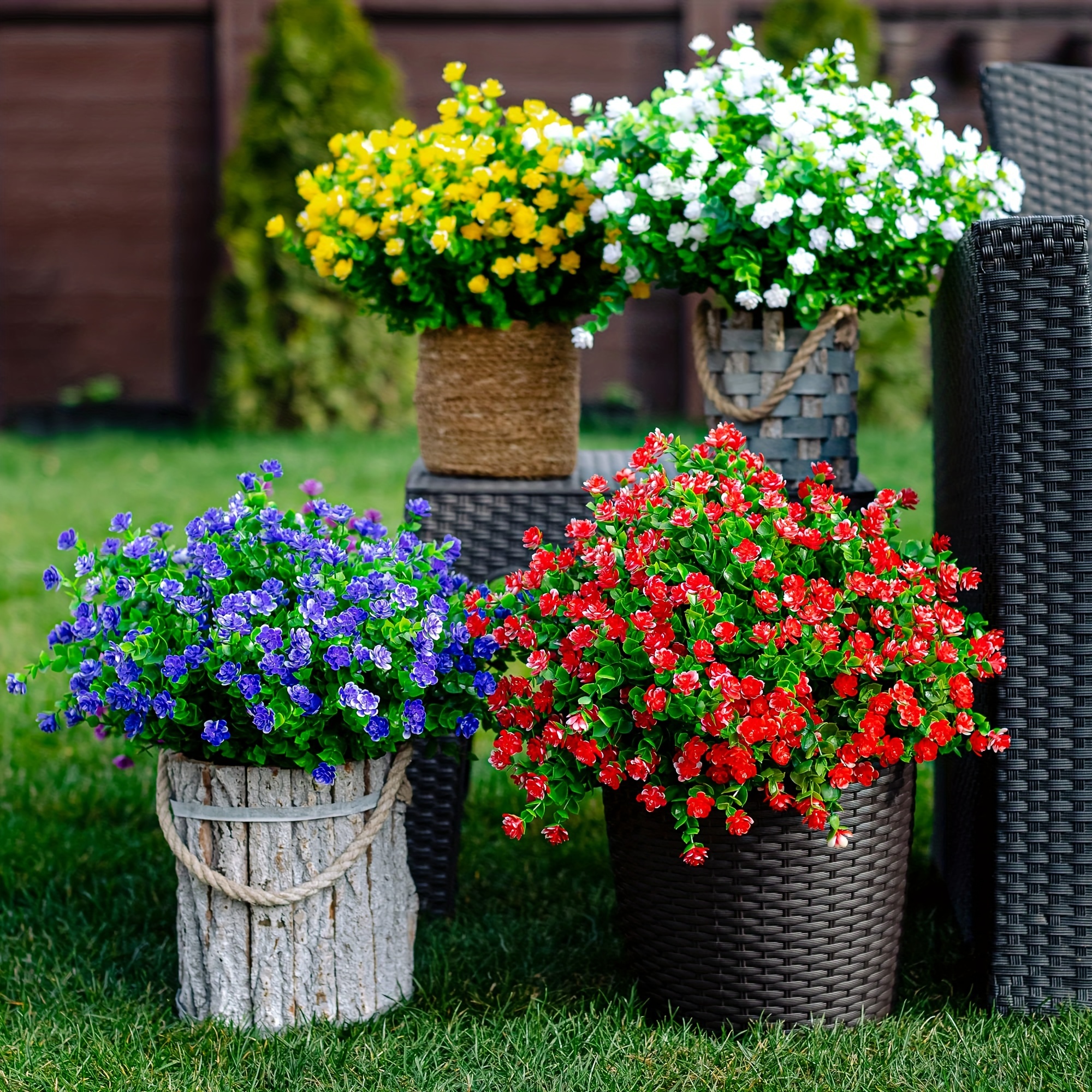 5 piante perfette per arredare l'ufficio - Guida Giardino