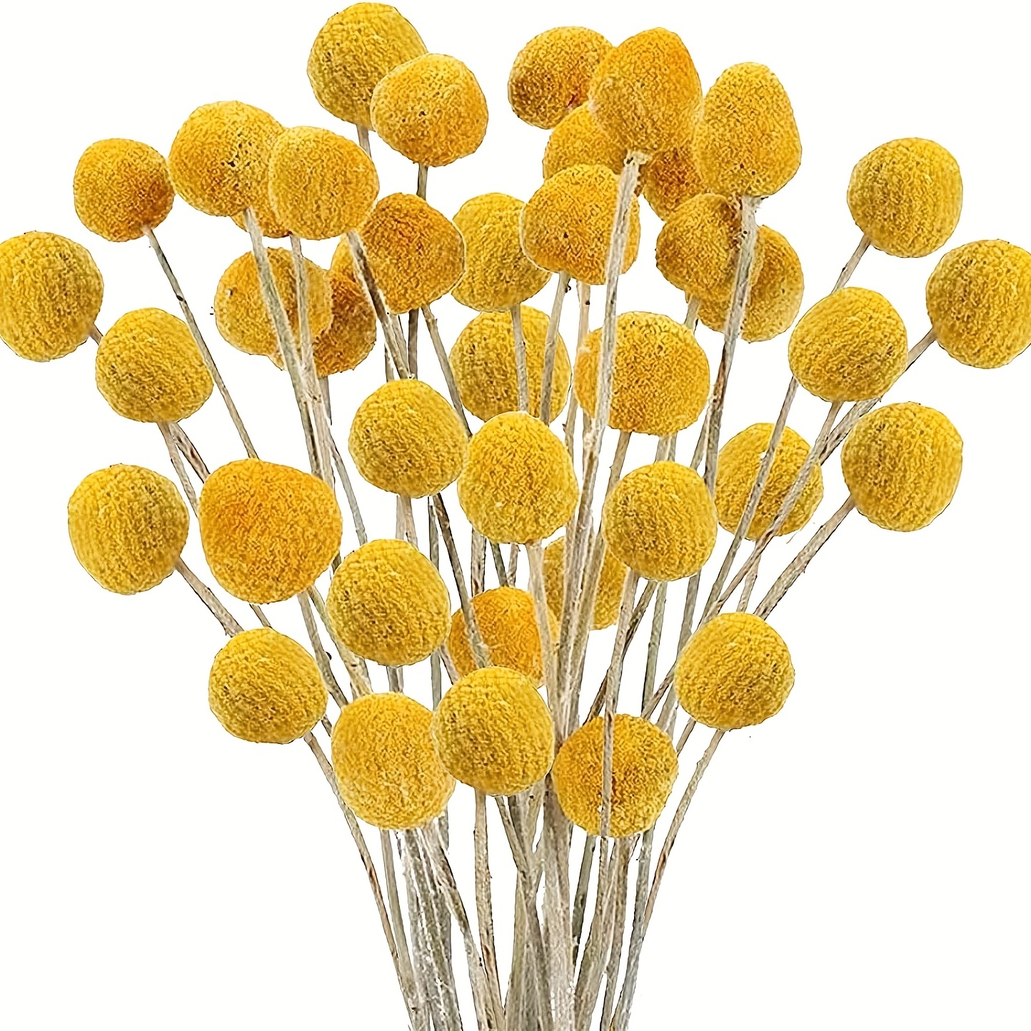 20pcs Flores Secas Naturales Arreglos Florales Secos - Temu