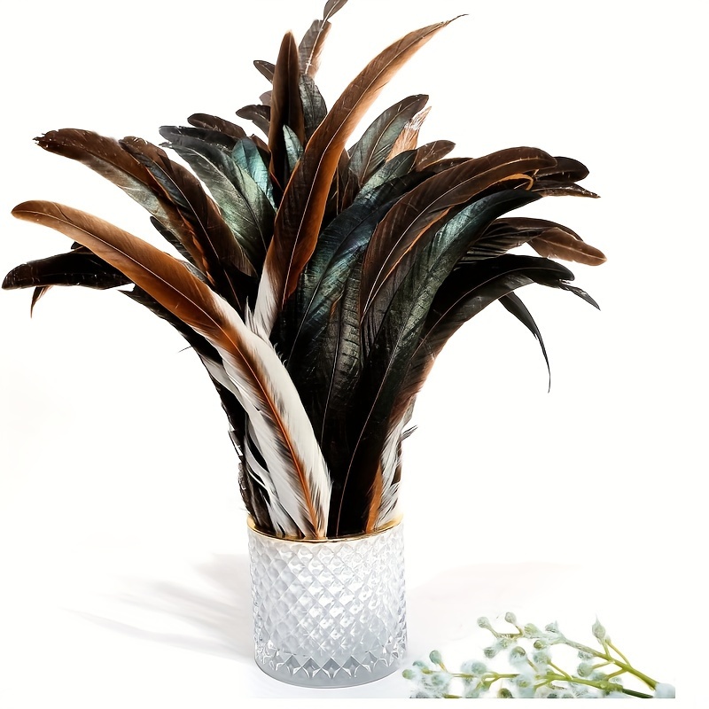 Black Rooster Rooster Tail Feather Bulk Natural Handmade - Temu