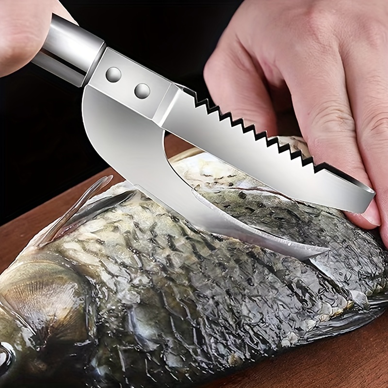 Couteau à écailles de poisson en acier inoxydable, coupe, grattoir