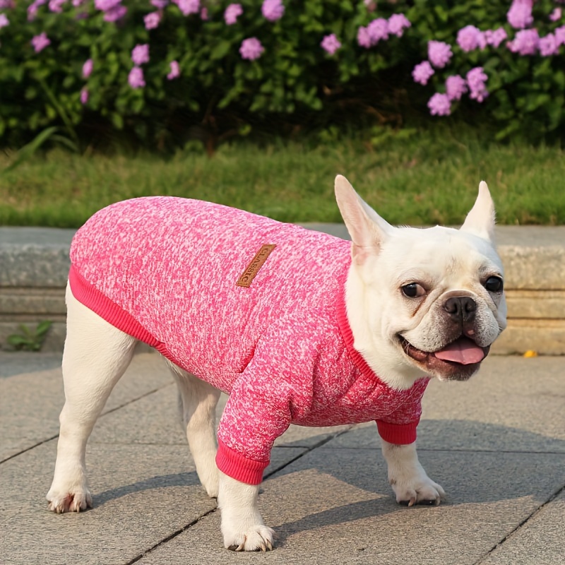 Medium sized dog outlet sweaters