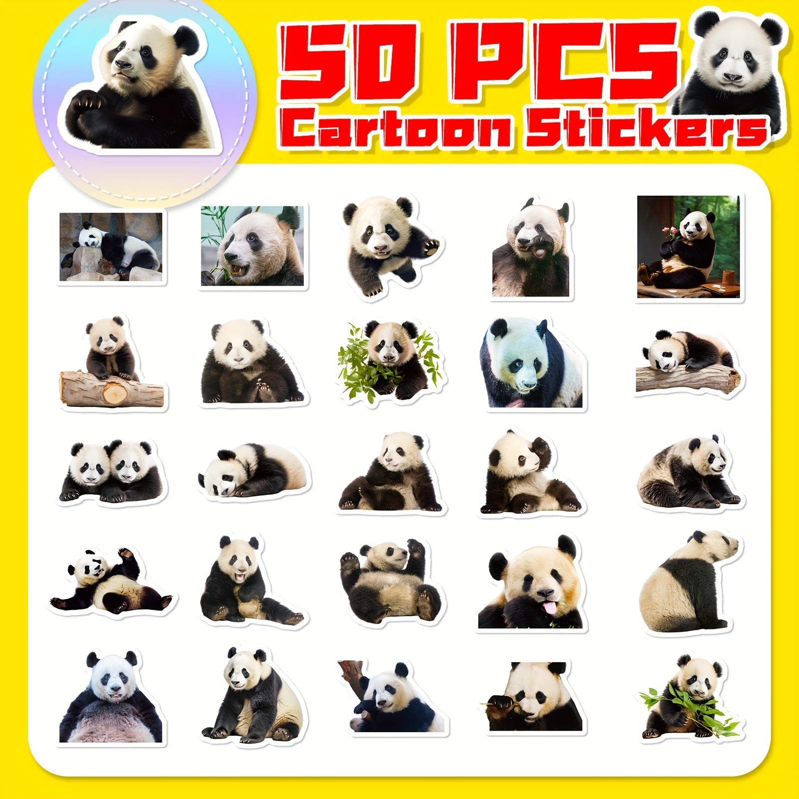 Laptop Water Bottle, Guitar Stationery, Panda Stickers, Panda Gadget