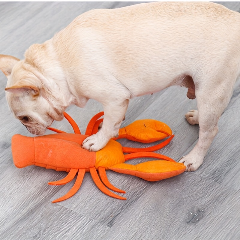 Durable Plush Shell Dog Toy The Perfect Interactive Chew Toy - Temu