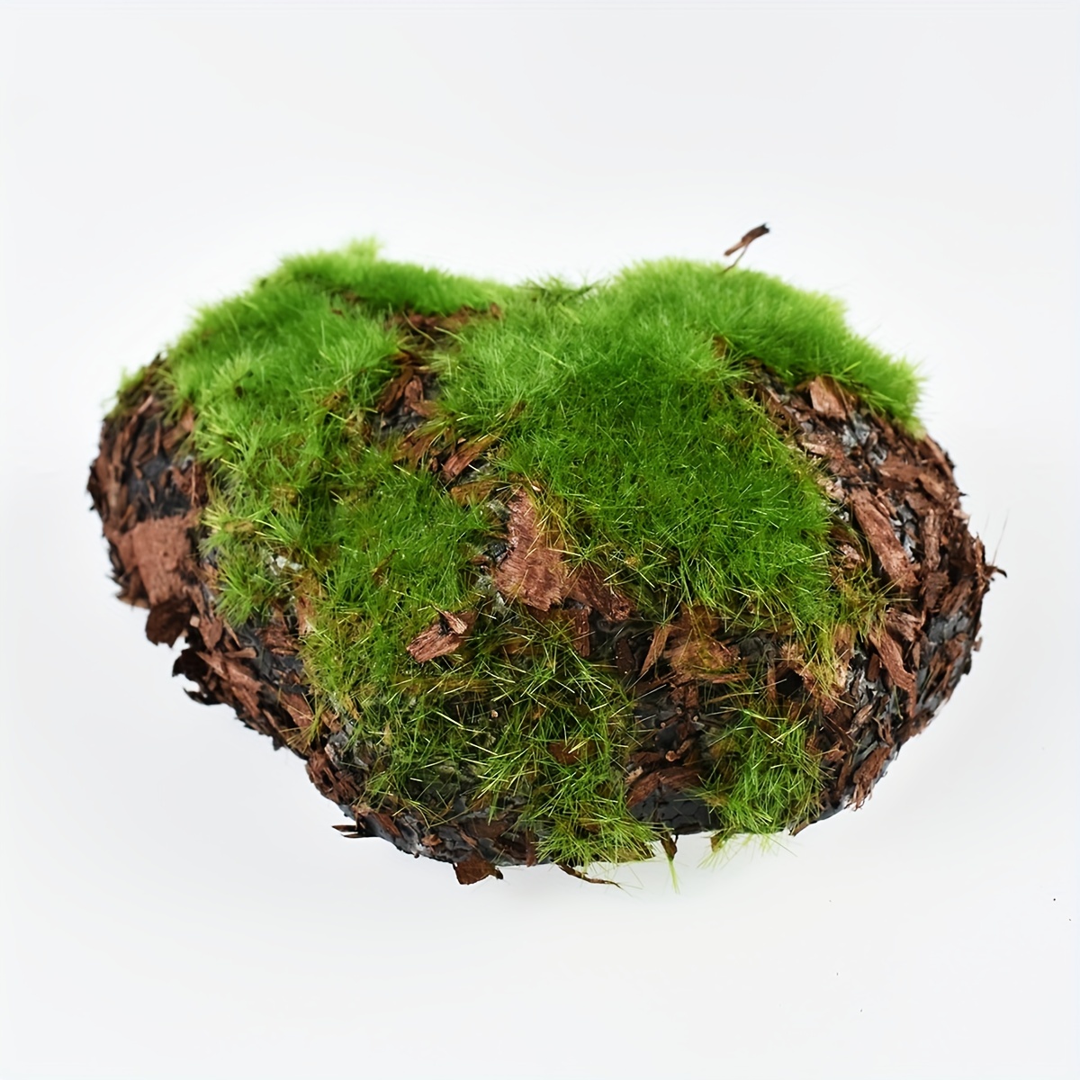 Musgo Artificial de 100g plantas de simulación de musgo inmortal, Micro  paisaje bonsái decoración de jardín interior musgo verde - AliExpress