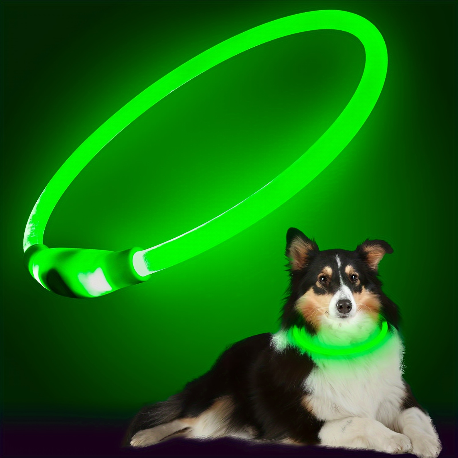 Collar de perro con luz LED para caminar por la noche, colgante brillante  para mascotas, Collar luminoso de seguridad para cachorros, linterna  recargable por USB de 3 modos - AliExpress