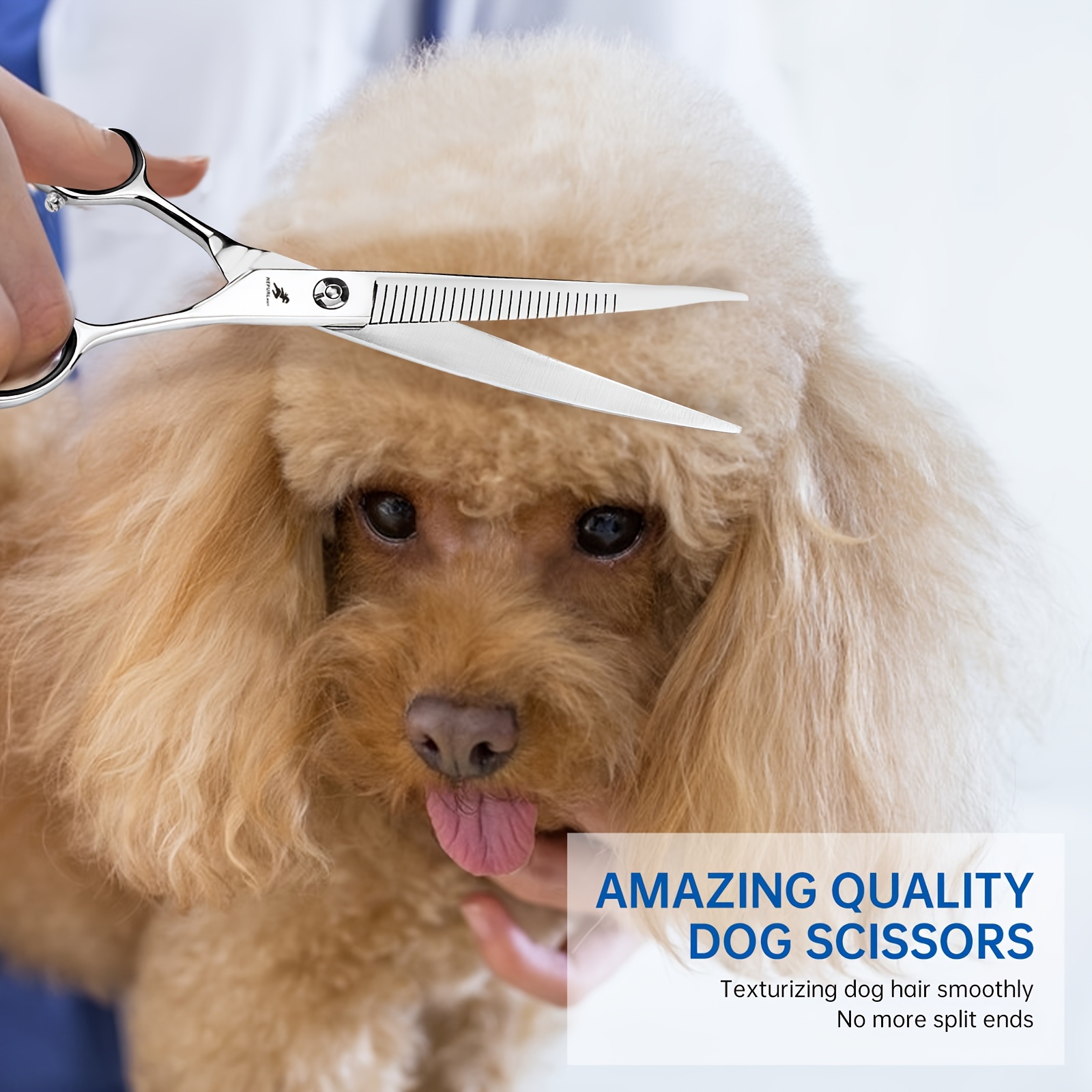 Peluquería Tijeras Para Cortar Pelo A Caniche Cachorro Golden Se