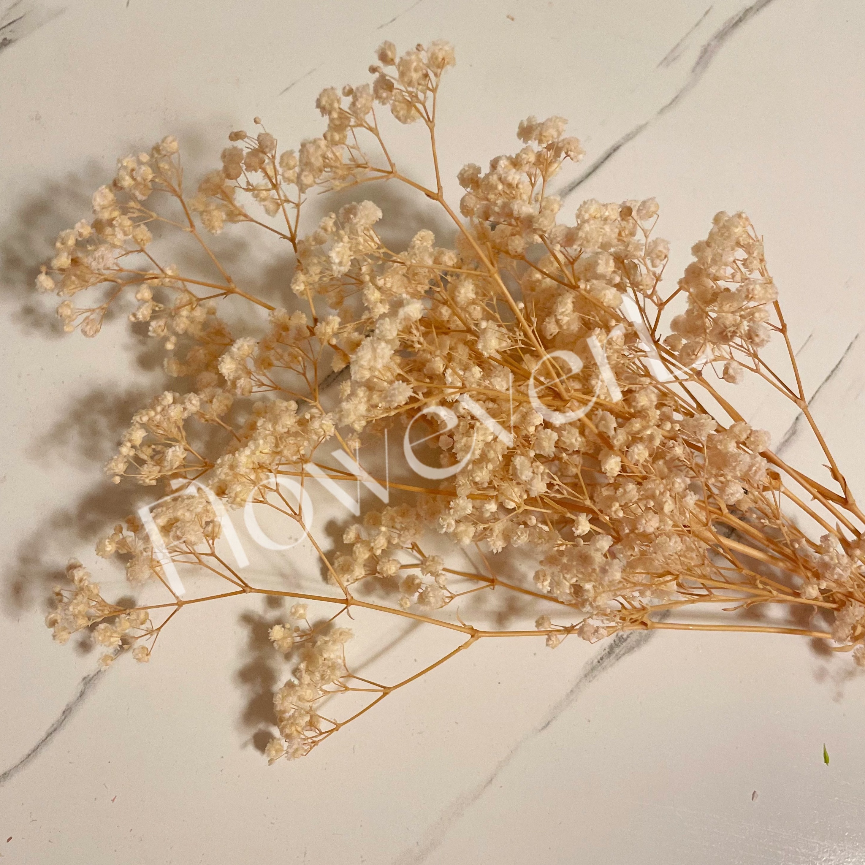 Dried Babys Breath Flowers, Dried Gypsophila Bouquet Fall Flowers