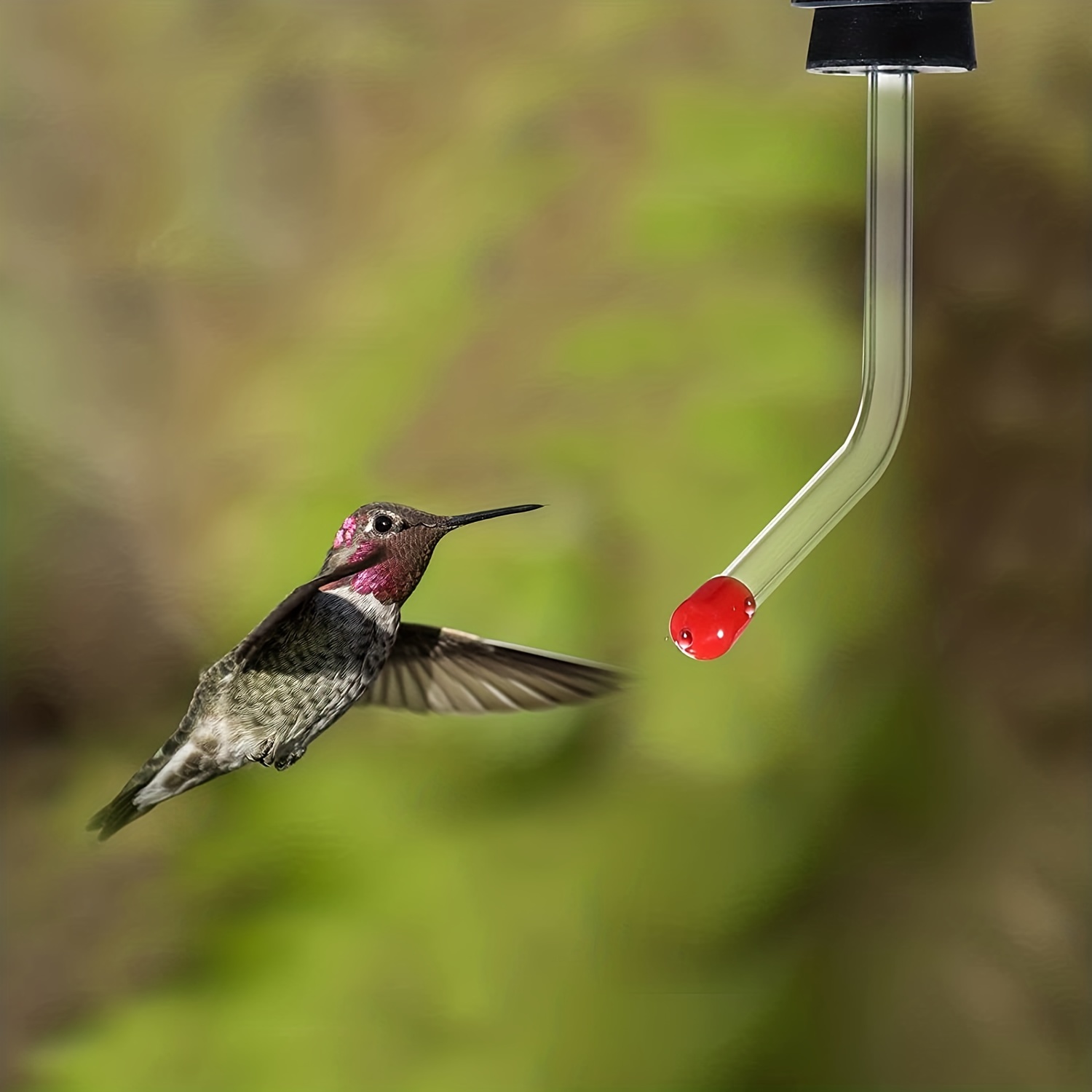 Mangeoire à colibri suspendue avec 4 ports d'alimentation pour les  mangeoires à oiseaux en métal à l'extérieur avec brosse propre