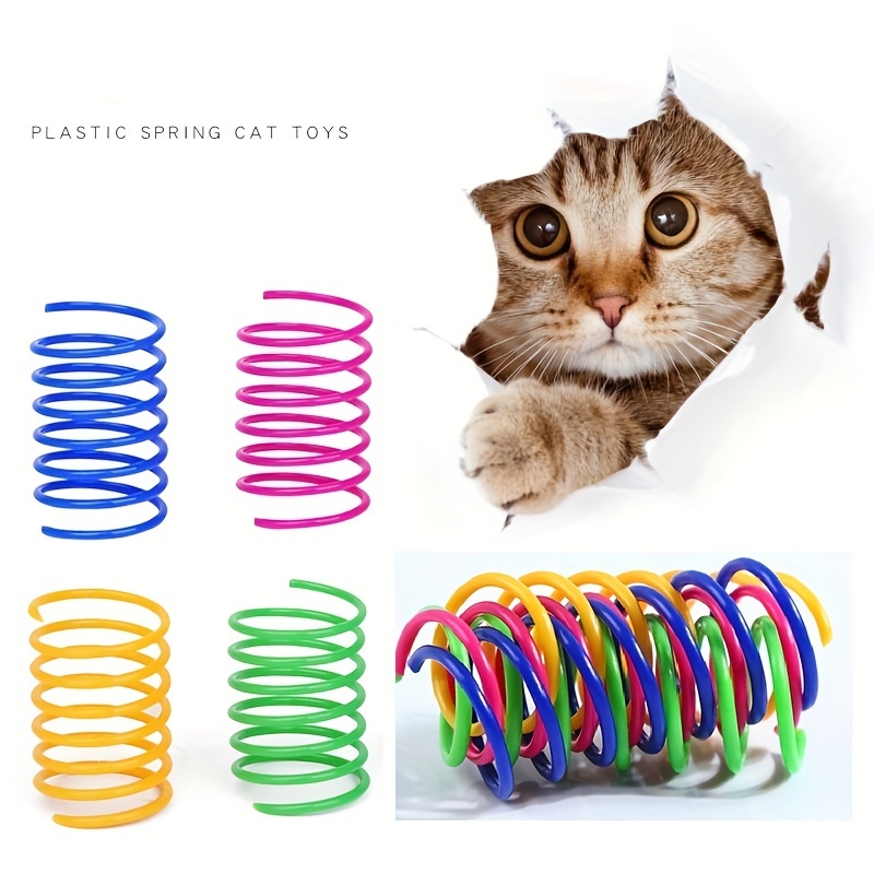 Giocattolo A Molla Gatti Molle A Spirale Colorate In Plastica Animali  Domestici Azione Animali Domestici Giocattoli Interattivi Durevoli Muelle  Gato Giocattolo Animali Domestici Da 0,52 €