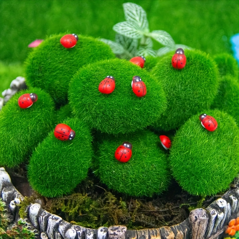 Micro Paesaggio Muschio Terrario Decorazione Giardino Delle Fate Miniature  Di Natale Figure Alberi Di Natale Babbo Natale Pupazzi Di Neve Orso - Temu  Italy