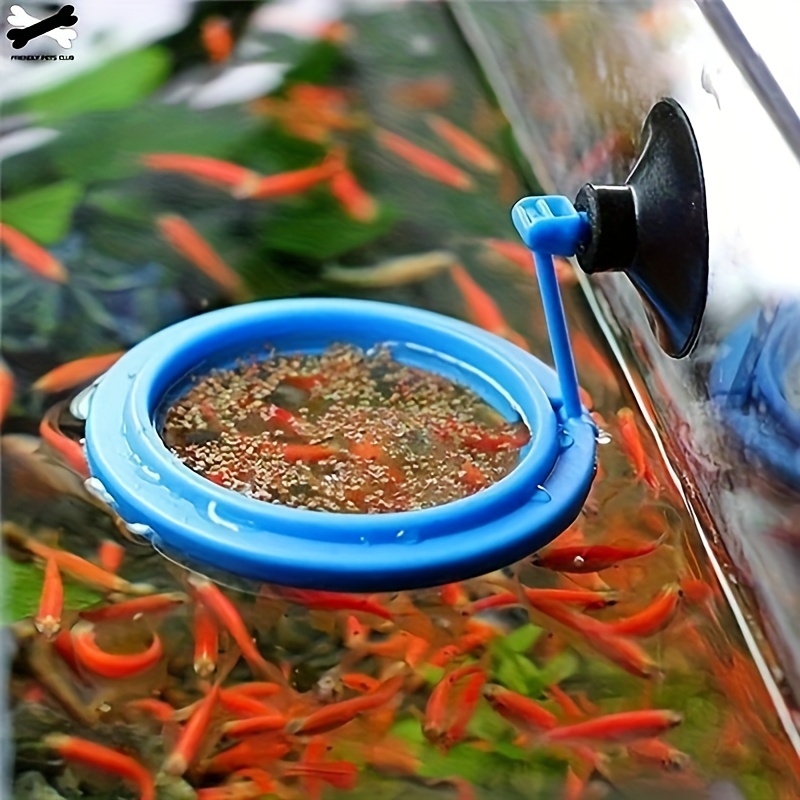 Aquarium Clear Fish Feeder Mit Saugnapf Transparent Acryl Fish Tank Station  Floating Food Feeding Ring - Haustierbedarf - Temu Germany