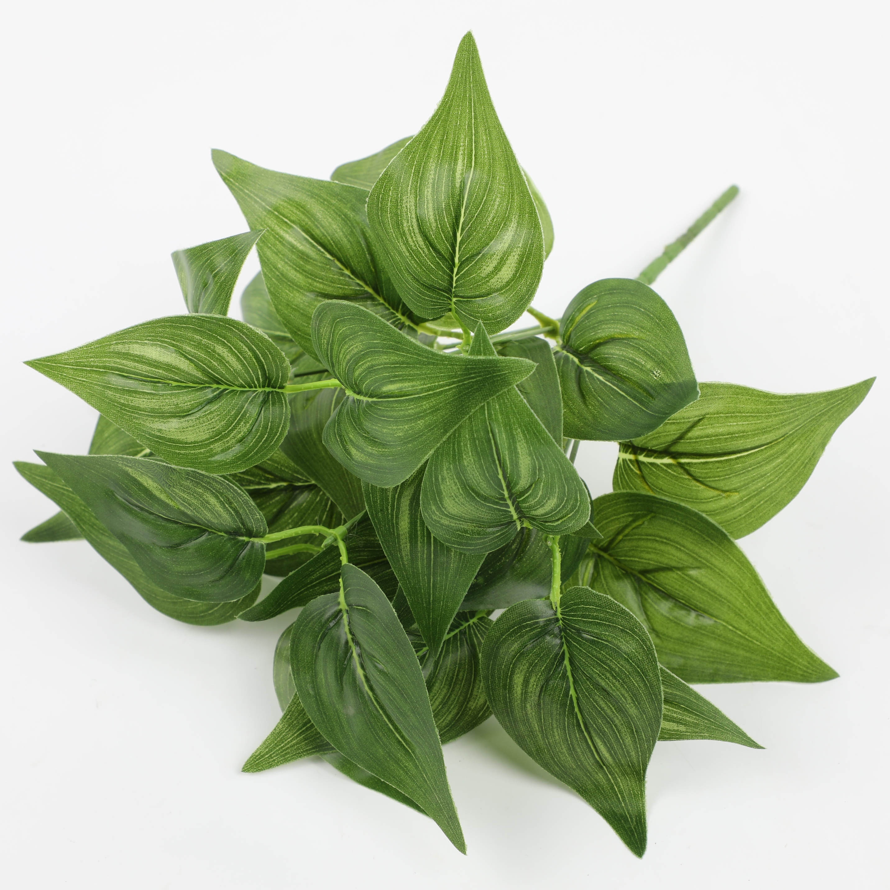 7c86facf2465bff5409faf0fb50f64f3 7c86facf2465bff5409faf0fb50f64f3