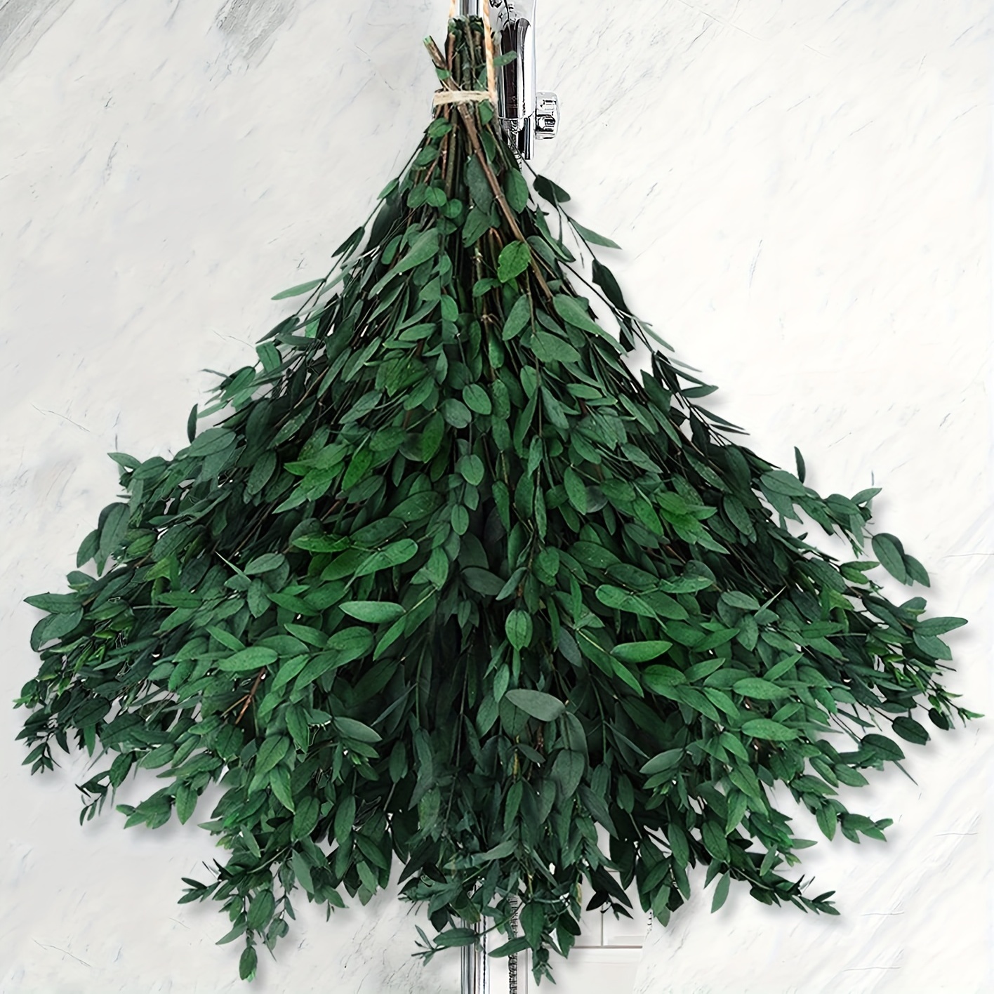 20 piezas de eucalipto preservado, planta de eucalipto verde fresco natural  de 17 pulgadas, ramas de hojas de eucalipto reales, tallos de eucalipto