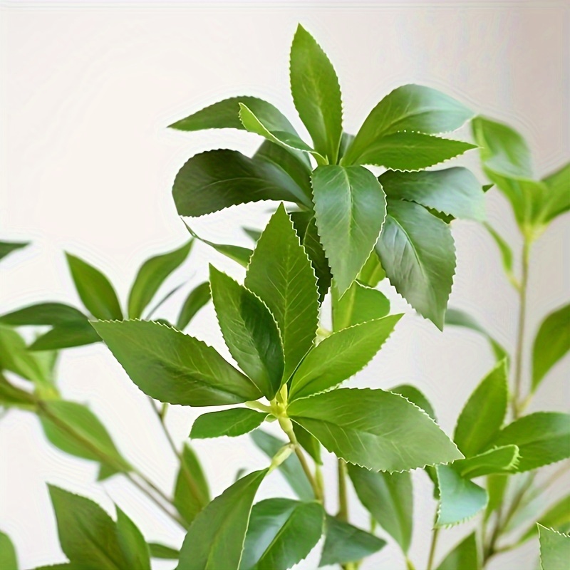 Artificial Ficus Stems Faux Green Stems Ficus Branches Leaf Stem Fake Green  Bushes Shrubs Ficus Twig Stems for Vase Filler Home Wedding Office Decor