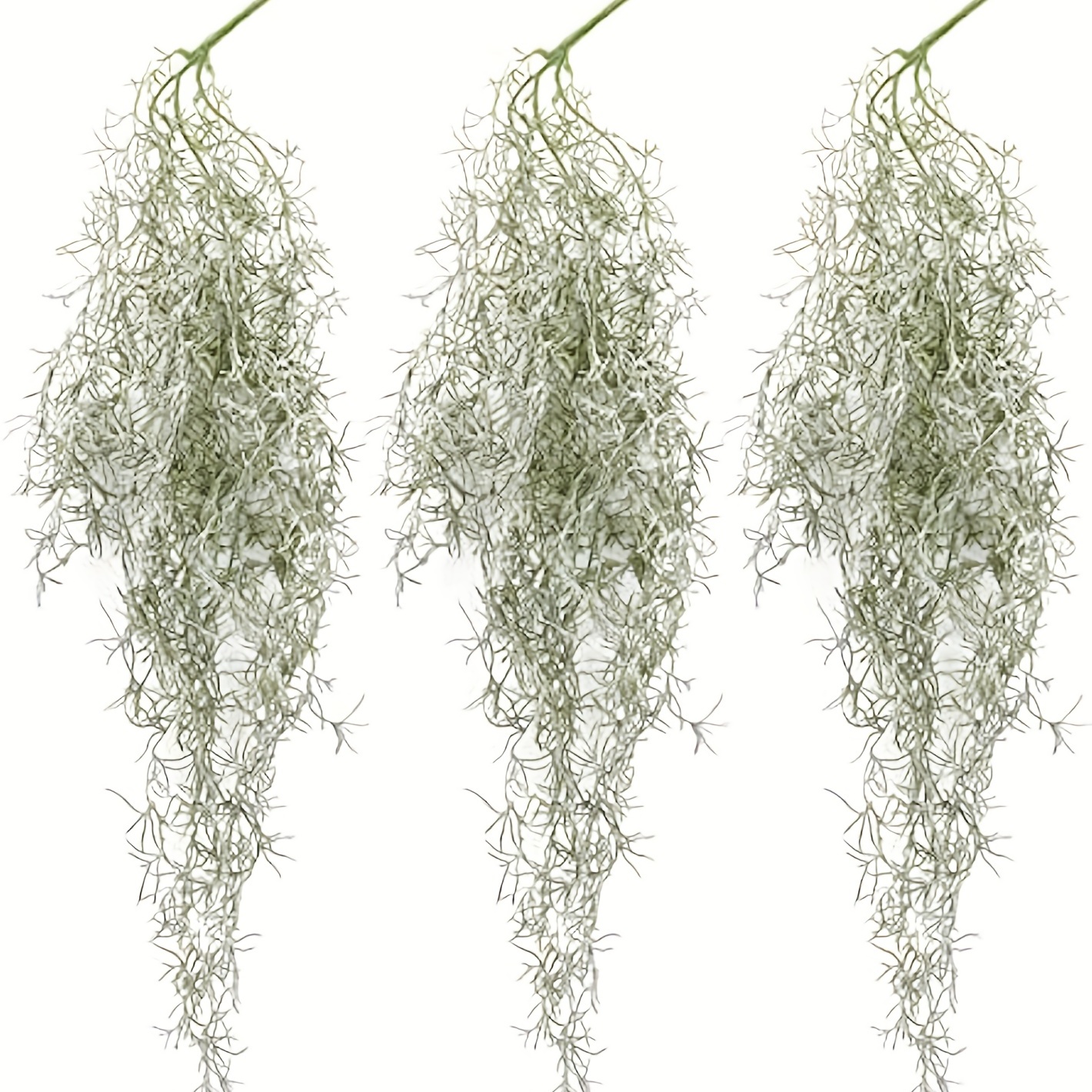  Waydress Christmas Artificial Vines Moss Faux Greenery Moss for  Potted Plants Realistic Spanish Moss Hanging Plants Artificial Decor Fake  Moss for Christmas Decor (Classic Style,10 Pieces) : Home & Kitchen