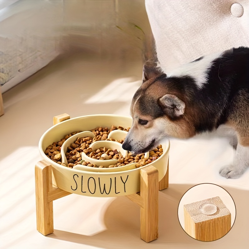 Pet Slow Eating Dish Bowl Cat Dog Anti Choking Puppy Slow Feeder