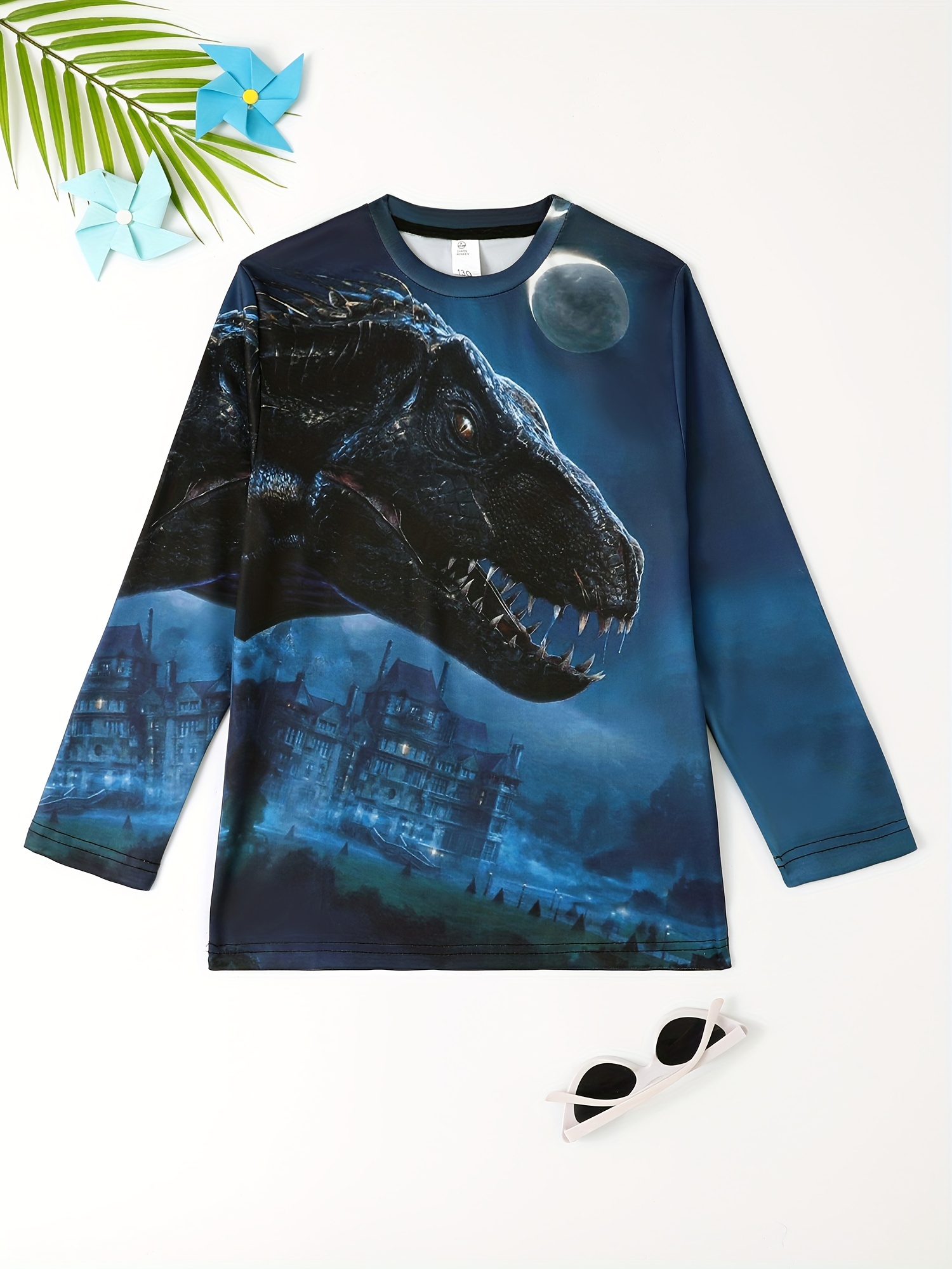 3D Dinosaur Kid's Pullover Long Sleeve Top For Spring Fall Winter