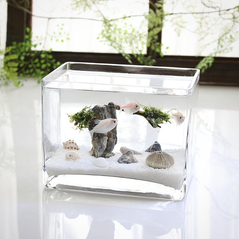 Rectangular Fish Tank Small Glass Fish Tank Betta Tank Clear - Temu