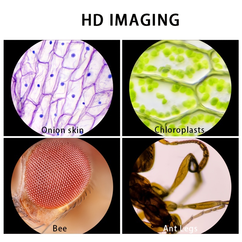 Mini microscope de poche HD 60x-120 Zoom pour enfants – Ludikid
