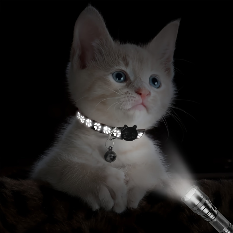 Fancy hotsell kitten collars