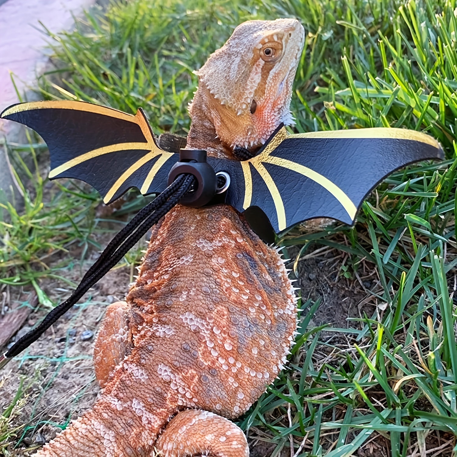  Pawaboo Adjustable Bearded Dragon Harness and Leash, 3 Size  Leather Reptile Leash Outdoor Harness Leash with Bat Wings for Lizard  Reptiles Amphibians Small Pet, Small/Medium/Large, Black+Gold : Pet Supplies