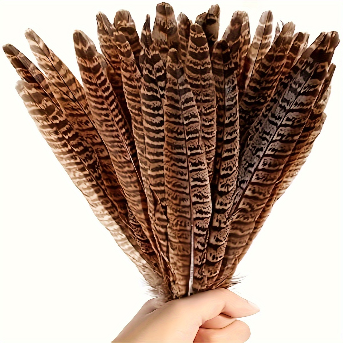 Natural Ringneck Female - Pheasant Feathers