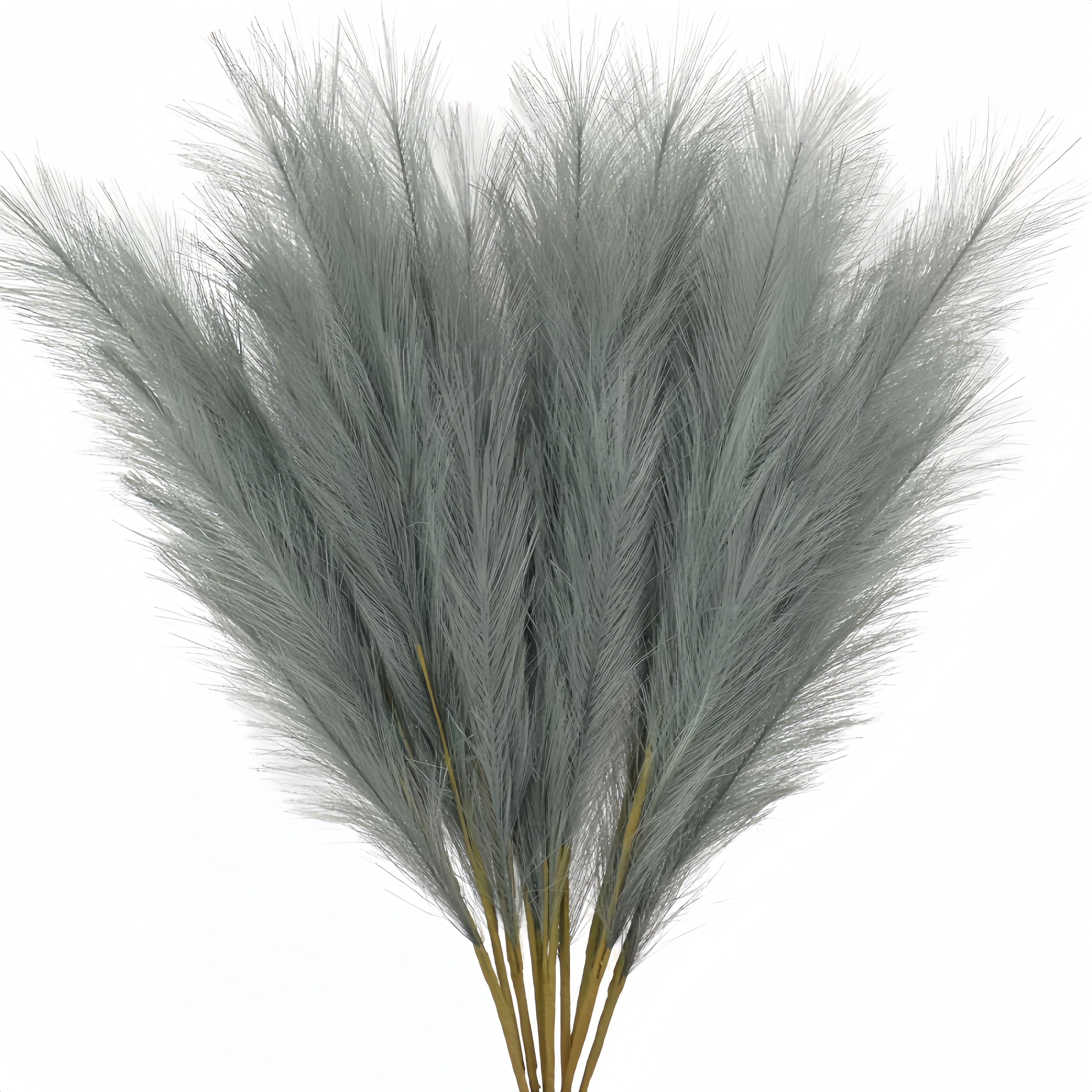 12 Pezzi Erba Finta Pampas - 21,6 Pollici Decorazione Casa In Erba  Artificiale, Erba Pampas Colorata Artificiale Decorazione Stanza,  Larrangiamento Floreale, I Centrotavola Matrimonio E Decorazioni Doccia, Risparmia Denaro Temu